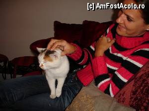 [P22]  -- <small>// FĂRĂ DESCRIERE</small> » foto by susu
 - 
<span class="allrVoted glyphicon glyphicon-heart hidden" id="av367776"></span>
<a class="m-l-10 hidden" id="sv367776" onclick="voting_Foto_DelVot(,367776,7288)" role="button">șterge vot <span class="glyphicon glyphicon-remove"></span></a>
<a id="v9367776" class=" c-red"  onclick="voting_Foto_SetVot(367776)" role="button"><span class="glyphicon glyphicon-heart-empty"></span> <b>LIKE</b> = Votează poza</a> <img class="hidden"  id="f367776W9" src="/imagini/loader.gif" border="0" /><span class="AjErrMes hidden" id="e367776ErM"></span>