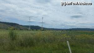 [P01] Berze pe camp...  » foto by sed
 - 
<span class="allrVoted glyphicon glyphicon-heart hidden" id="av660060"></span>
<a class="m-l-10 hidden" id="sv660060" onclick="voting_Foto_DelVot(,660060,7288)" role="button">șterge vot <span class="glyphicon glyphicon-remove"></span></a>
<a id="v9660060" class=" c-red"  onclick="voting_Foto_SetVot(660060)" role="button"><span class="glyphicon glyphicon-heart-empty"></span> <b>LIKE</b> = Votează poza</a> <img class="hidden"  id="f660060W9" src="/imagini/loader.gif" border="0" /><span class="AjErrMes hidden" id="e660060ErM"></span>