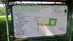 [P20] Planul Depozitului de Armăsari de la Dumbrava » foto by Lucien
 - 
<span class="allrVoted glyphicon glyphicon-heart hidden" id="av964535"></span>
<a class="m-l-10 hidden" id="sv964535" onclick="voting_Foto_DelVot(,964535,7301)" role="button">șterge vot <span class="glyphicon glyphicon-remove"></span></a>
<a id="v9964535" class=" c-red"  onclick="voting_Foto_SetVot(964535)" role="button"><span class="glyphicon glyphicon-heart-empty"></span> <b>LIKE</b> = Votează poza</a> <img class="hidden"  id="f964535W9" src="/imagini/loader.gif" border="0" /><span class="AjErrMes hidden" id="e964535ErM"></span>