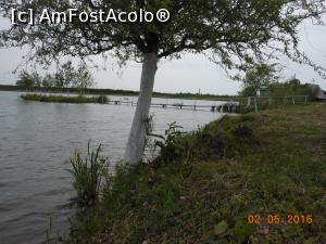 [P18] Balta Broșteni - Însulița din lac și stânjeneii galbeni.  » foto by iulianic
 - 
<span class="allrVoted glyphicon glyphicon-heart hidden" id="av735533"></span>
<a class="m-l-10 hidden" id="sv735533" onclick="voting_Foto_DelVot(,735533,7302)" role="button">șterge vot <span class="glyphicon glyphicon-remove"></span></a>
<a id="v9735533" class=" c-red"  onclick="voting_Foto_SetVot(735533)" role="button"><span class="glyphicon glyphicon-heart-empty"></span> <b>LIKE</b> = Votează poza</a> <img class="hidden"  id="f735533W9" src="/imagini/loader.gif" border="0" /><span class="AjErrMes hidden" id="e735533ErM"></span>