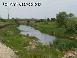 [P19] Balta Broșteni - Podul peste râul Neajlov în apropiere de baltă.  » foto by iulianic
 - 
<span class="allrVoted glyphicon glyphicon-heart hidden" id="av735536"></span>
<a class="m-l-10 hidden" id="sv735536" onclick="voting_Foto_DelVot(,735536,7302)" role="button">șterge vot <span class="glyphicon glyphicon-remove"></span></a>
<a id="v9735536" class=" c-red"  onclick="voting_Foto_SetVot(735536)" role="button"><span class="glyphicon glyphicon-heart-empty"></span> <b>LIKE</b> = Votează poza</a> <img class="hidden"  id="f735536W9" src="/imagini/loader.gif" border="0" /><span class="AjErrMes hidden" id="e735536ErM"></span>