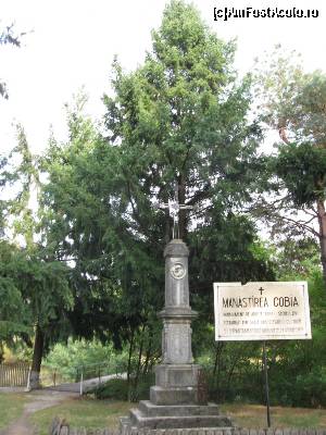 [P01] Cărarea spre mănăstirea Cobia » foto by tata123 🔱
 - 
<span class="allrVoted glyphicon glyphicon-heart hidden" id="av567174"></span>
<a class="m-l-10 hidden" id="sv567174" onclick="voting_Foto_DelVot(,567174,7302)" role="button">șterge vot <span class="glyphicon glyphicon-remove"></span></a>
<a id="v9567174" class=" c-red"  onclick="voting_Foto_SetVot(567174)" role="button"><span class="glyphicon glyphicon-heart-empty"></span> <b>LIKE</b> = Votează poza</a> <img class="hidden"  id="f567174W9" src="/imagini/loader.gif" border="0" /><span class="AjErrMes hidden" id="e567174ErM"></span>