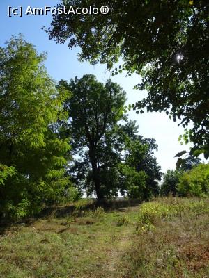 [P02] Prin Parcul Văcăreștilor.  » foto by tata123 🔱
 - 
<span class="allrVoted glyphicon glyphicon-heart hidden" id="av1114368"></span>
<a class="m-l-10 hidden" id="sv1114368" onclick="voting_Foto_DelVot(,1114368,7302)" role="button">șterge vot <span class="glyphicon glyphicon-remove"></span></a>
<a id="v91114368" class=" c-red"  onclick="voting_Foto_SetVot(1114368)" role="button"><span class="glyphicon glyphicon-heart-empty"></span> <b>LIKE</b> = Votează poza</a> <img class="hidden"  id="f1114368W9" src="/imagini/loader.gif" border="0" /><span class="AjErrMes hidden" id="e1114368ErM"></span>