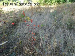 [P06] Vegetație densă în perimetrul Parcului Văcăreștilor.  » foto by tata123 🔱
 - 
<span class="allrVoted glyphicon glyphicon-heart hidden" id="av1114373"></span>
<a class="m-l-10 hidden" id="sv1114373" onclick="voting_Foto_DelVot(,1114373,7302)" role="button">șterge vot <span class="glyphicon glyphicon-remove"></span></a>
<a id="v91114373" class=" c-red"  onclick="voting_Foto_SetVot(1114373)" role="button"><span class="glyphicon glyphicon-heart-empty"></span> <b>LIKE</b> = Votează poza</a> <img class="hidden"  id="f1114373W9" src="/imagini/loader.gif" border="0" /><span class="AjErrMes hidden" id="e1114373ErM"></span>
