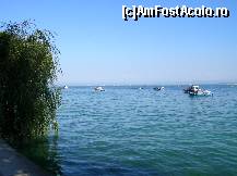 [P155] La revedere Mainau - Bodensee. » foto by doina_c24
 - 
<span class="allrVoted glyphicon glyphicon-heart hidden" id="av318230"></span>
<a class="m-l-10 hidden" id="sv318230" onclick="voting_Foto_DelVot(,318230,7326)" role="button">șterge vot <span class="glyphicon glyphicon-remove"></span></a>
<a id="v9318230" class=" c-red"  onclick="voting_Foto_SetVot(318230)" role="button"><span class="glyphicon glyphicon-heart-empty"></span> <b>LIKE</b> = Votează poza</a> <img class="hidden"  id="f318230W9" src="/imagini/loader.gif" border="0" /><span class="AjErrMes hidden" id="e318230ErM"></span>