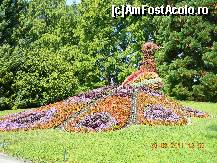 [P18] Păunul în haine florale. » foto by doina_c24
 - 
<span class="allrVoted glyphicon glyphicon-heart hidden" id="av318078"></span>
<a class="m-l-10 hidden" id="sv318078" onclick="voting_Foto_DelVot(,318078,7326)" role="button">șterge vot <span class="glyphicon glyphicon-remove"></span></a>
<a id="v9318078" class=" c-red"  onclick="voting_Foto_SetVot(318078)" role="button"><span class="glyphicon glyphicon-heart-empty"></span> <b>LIKE</b> = Votează poza</a> <img class="hidden"  id="f318078W9" src="/imagini/loader.gif" border="0" /><span class="AjErrMes hidden" id="e318078ErM"></span>