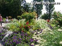 [P37] Diversitate florală. » foto by doina_c24
 - 
<span class="allrVoted glyphicon glyphicon-heart hidden" id="av318097"></span>
<a class="m-l-10 hidden" id="sv318097" onclick="voting_Foto_DelVot(,318097,7326)" role="button">șterge vot <span class="glyphicon glyphicon-remove"></span></a>
<a id="v9318097" class=" c-red"  onclick="voting_Foto_SetVot(318097)" role="button"><span class="glyphicon glyphicon-heart-empty"></span> <b>LIKE</b> = Votează poza</a> <img class="hidden"  id="f318097W9" src="/imagini/loader.gif" border="0" /><span class="AjErrMes hidden" id="e318097ErM"></span>