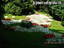 [P46] Bodensee realizat din flori albe. Cu flori roşii sunt marcate localităţile. » foto by doina_c24
 - 
<span class="allrVoted glyphicon glyphicon-heart hidden" id="av318106"></span>
<a class="m-l-10 hidden" id="sv318106" onclick="voting_Foto_DelVot(,318106,7326)" role="button">șterge vot <span class="glyphicon glyphicon-remove"></span></a>
<a id="v9318106" class=" c-red"  onclick="voting_Foto_SetVot(318106)" role="button"><span class="glyphicon glyphicon-heart-empty"></span> <b>LIKE</b> = Votează poza</a> <img class="hidden"  id="f318106W9" src="/imagini/loader.gif" border="0" /><span class="AjErrMes hidden" id="e318106ErM"></span>