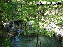 [P15] Excursie pe VALEA FLUTURILOR.Frumos dar nu ceva spectaculos.
Intrarea 5 euro de adult. » foto by LEONICA
 - 
<span class="allrVoted glyphicon glyphicon-heart hidden" id="av132020"></span>
<a class="m-l-10 hidden" id="sv132020" onclick="voting_Foto_DelVot(,132020,7358)" role="button">șterge vot <span class="glyphicon glyphicon-remove"></span></a>
<a id="v9132020" class=" c-red"  onclick="voting_Foto_SetVot(132020)" role="button"><span class="glyphicon glyphicon-heart-empty"></span> <b>LIKE</b> = Votează poza</a> <img class="hidden"  id="f132020W9" src="/imagini/loader.gif" border="0" /><span class="AjErrMes hidden" id="e132020ErM"></span>