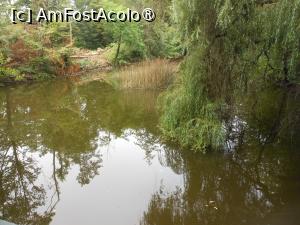 [P46] Dofteana - Castelul Ghika. Lacul. » foto by iulianic
 - 
<span class="allrVoted glyphicon glyphicon-heart hidden" id="av1476008"></span>
<a class="m-l-10 hidden" id="sv1476008" onclick="voting_Foto_DelVot(,1476008,7361)" role="button">șterge vot <span class="glyphicon glyphicon-remove"></span></a>
<a id="v91476008" class=" c-red"  onclick="voting_Foto_SetVot(1476008)" role="button"><span class="glyphicon glyphicon-heart-empty"></span> <b>LIKE</b> = Votează poza</a> <img class="hidden"  id="f1476008W9" src="/imagini/loader.gif" border="0" /><span class="AjErrMes hidden" id="e1476008ErM"></span>