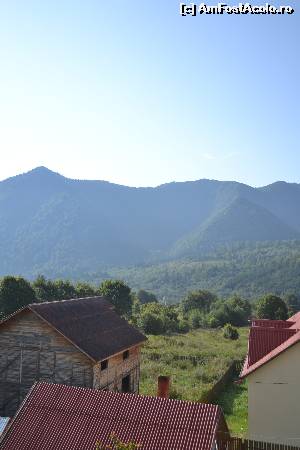 [P18]  -- <small>// FĂRĂ DESCRIERE</small> » foto by pati*
 - 
<span class="allrVoted glyphicon glyphicon-heart hidden" id="av548296"></span>
<a class="m-l-10 hidden" id="sv548296" onclick="voting_Foto_DelVot(,548296,7372)" role="button">șterge vot <span class="glyphicon glyphicon-remove"></span></a>
<a id="v9548296" class=" c-red"  onclick="voting_Foto_SetVot(548296)" role="button"><span class="glyphicon glyphicon-heart-empty"></span> <b>LIKE</b> = Votează poza</a> <img class="hidden"  id="f548296W9" src="/imagini/loader.gif" border="0" /><span class="AjErrMes hidden" id="e548296ErM"></span>