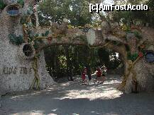 [P04] kid's tree » foto by hancumonica
 - 
<span class="allrVoted glyphicon glyphicon-heart hidden" id="av133113"></span>
<a class="m-l-10 hidden" id="sv133113" onclick="voting_Foto_DelVot(,133113,7391)" role="button">șterge vot <span class="glyphicon glyphicon-remove"></span></a>
<a id="v9133113" class=" c-red"  onclick="voting_Foto_SetVot(133113)" role="button"><span class="glyphicon glyphicon-heart-empty"></span> <b>LIKE</b> = Votează poza</a> <img class="hidden"  id="f133113W9" src="/imagini/loader.gif" border="0" /><span class="AjErrMes hidden" id="e133113ErM"></span>