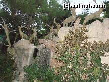 [P06] cerbi » foto by hancumonica
 - 
<span class="allrVoted glyphicon glyphicon-heart hidden" id="av133115"></span>
<a class="m-l-10 hidden" id="sv133115" onclick="voting_Foto_DelVot(,133115,7391)" role="button">șterge vot <span class="glyphicon glyphicon-remove"></span></a>
<a id="v9133115" class=" c-red"  onclick="voting_Foto_SetVot(133115)" role="button"><span class="glyphicon glyphicon-heart-empty"></span> <b>LIKE</b> = Votează poza</a> <img class="hidden"  id="f133115W9" src="/imagini/loader.gif" border="0" /><span class="AjErrMes hidden" id="e133115ErM"></span>