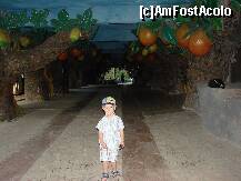 [P08] aleea portocalelor » foto by hancumonica
 - 
<span class="allrVoted glyphicon glyphicon-heart hidden" id="av133117"></span>
<a class="m-l-10 hidden" id="sv133117" onclick="voting_Foto_DelVot(,133117,7391)" role="button">șterge vot <span class="glyphicon glyphicon-remove"></span></a>
<a id="v9133117" class=" c-red"  onclick="voting_Foto_SetVot(133117)" role="button"><span class="glyphicon glyphicon-heart-empty"></span> <b>LIKE</b> = Votează poza</a> <img class="hidden"  id="f133117W9" src="/imagini/loader.gif" border="0" /><span class="AjErrMes hidden" id="e133117ErM"></span>