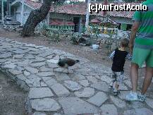 [P09] ferma » foto by hancumonica
 - 
<span class="allrVoted glyphicon glyphicon-heart hidden" id="av133118"></span>
<a class="m-l-10 hidden" id="sv133118" onclick="voting_Foto_DelVot(,133118,7391)" role="button">șterge vot <span class="glyphicon glyphicon-remove"></span></a>
<a id="v9133118" class=" c-red"  onclick="voting_Foto_SetVot(133118)" role="button"><span class="glyphicon glyphicon-heart-empty"></span> <b>LIKE</b> = Votează poza</a> <img class="hidden"  id="f133118W9" src="/imagini/loader.gif" border="0" /><span class="AjErrMes hidden" id="e133118ErM"></span>