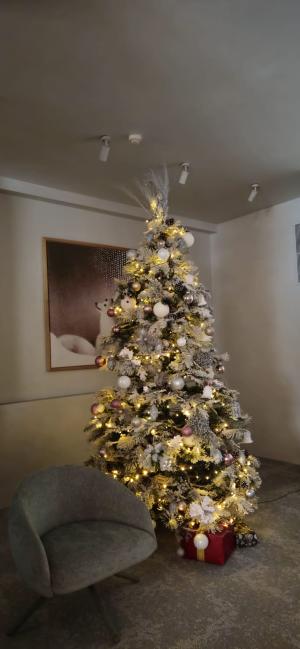 [P11] Aranjamente de Craciun din decorul de la recepția Orizont Hotel » foto by kmy <span class="label label-default labelC_thin small">NEVOTABILĂ</span>