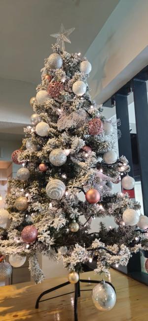 [P02] Unul din brăduți ce decora recepția Orizont Hotel » foto by kmy <span class="label label-default labelC_thin small">NEVOTABILĂ</span>