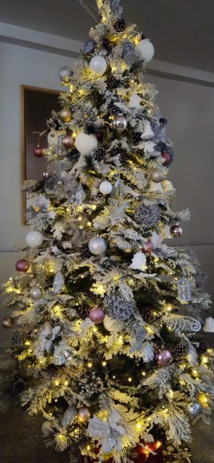 [P03] Alt brăduț din decorul de la recepția Orizont Hotel » foto by kmy <span class="label label-default labelC_thin small">NEVOTABILĂ</span>