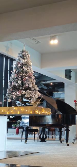 [P08] Va poftim la concert  și sa admirati decorul de la recepția Orizont Hotel » foto by kmy <span class="label label-default labelC_thin small">NEVOTABILĂ</span>