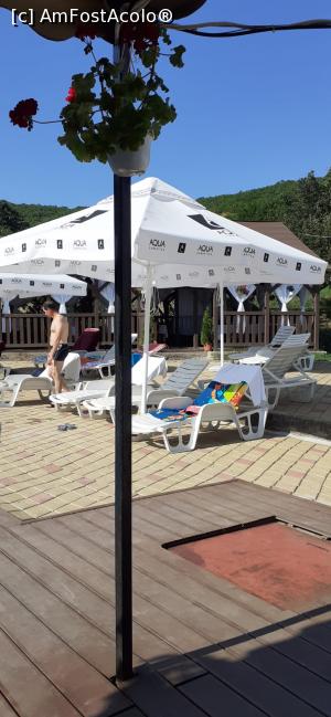 [P10] Curtea - Piscina » foto by delinyka
 - 
<span class="allrVoted glyphicon glyphicon-heart hidden" id="av1247132"></span>
<a class="m-l-10 hidden" id="sv1247132" onclick="voting_Foto_DelVot(,1247132,7402)" role="button">șterge vot <span class="glyphicon glyphicon-remove"></span></a>
<a id="v91247132" class=" c-red"  onclick="voting_Foto_SetVot(1247132)" role="button"><span class="glyphicon glyphicon-heart-empty"></span> <b>LIKE</b> = Votează poza</a> <img class="hidden"  id="f1247132W9" src="/imagini/loader.gif" border="0" /><span class="AjErrMes hidden" id="e1247132ErM"></span>