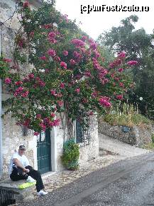 [P06] casa cu flori » foto by danutapop
 - 
<span class="allrVoted glyphicon glyphicon-heart hidden" id="av134094"></span>
<a class="m-l-10 hidden" id="sv134094" onclick="voting_Foto_DelVot(,134094,7408)" role="button">șterge vot <span class="glyphicon glyphicon-remove"></span></a>
<a id="v9134094" class=" c-red"  onclick="voting_Foto_SetVot(134094)" role="button"><span class="glyphicon glyphicon-heart-empty"></span> <b>LIKE</b> = Votează poza</a> <img class="hidden"  id="f134094W9" src="/imagini/loader.gif" border="0" /><span class="AjErrMes hidden" id="e134094ErM"></span>