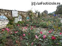 [P02] Balcic - In gradinile 'Valul Albastru' de pe domeniile regale. » foto by iulianic
 - 
<span class="allrVoted glyphicon glyphicon-heart hidden" id="av329077"></span>
<a class="m-l-10 hidden" id="sv329077" onclick="voting_Foto_DelVot(,329077,7421)" role="button">șterge vot <span class="glyphicon glyphicon-remove"></span></a>
<a id="v9329077" class=" c-red"  onclick="voting_Foto_SetVot(329077)" role="button"><span class="glyphicon glyphicon-heart-empty"></span> <b>LIKE</b> = Votează poza</a> <img class="hidden"  id="f329077W9" src="/imagini/loader.gif" border="0" /><span class="AjErrMes hidden" id="e329077ErM"></span>