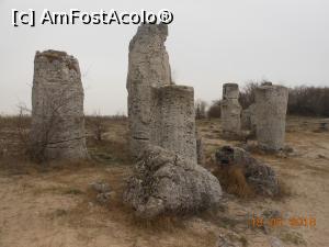 [P03] Pobite Kamăni - Coloșii din Pădurea de Piatră.  » foto by iulianic
 - 
<span class="allrVoted glyphicon glyphicon-heart hidden" id="av961423"></span>
<a class="m-l-10 hidden" id="sv961423" onclick="voting_Foto_DelVot(,961423,7421)" role="button">șterge vot <span class="glyphicon glyphicon-remove"></span></a>
<a id="v9961423" class=" c-red"  onclick="voting_Foto_SetVot(961423)" role="button"><span class="glyphicon glyphicon-heart-empty"></span> <b>LIKE</b> = Votează poza</a> <img class="hidden"  id="f961423W9" src="/imagini/loader.gif" border="0" /><span class="AjErrMes hidden" id="e961423ErM"></span>