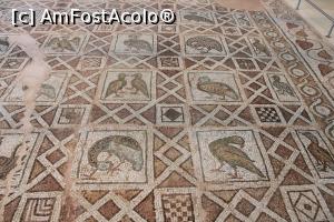 [P54] Plovdiv, Bazilica Episcopală din Philippopolis, superbe mozaicuri... » foto by mprofeanu
 - 
<span class="allrVoted glyphicon glyphicon-heart hidden" id="av1239155"></span>
<a class="m-l-10 hidden" id="sv1239155" onclick="voting_Foto_DelVot(,1239155,7421)" role="button">șterge vot <span class="glyphicon glyphicon-remove"></span></a>
<a id="v91239155" class=" c-red"  onclick="voting_Foto_SetVot(1239155)" role="button"><span class="glyphicon glyphicon-heart-empty"></span> <b>LIKE</b> = Votează poza</a> <img class="hidden"  id="f1239155W9" src="/imagini/loader.gif" border="0" /><span class="AjErrMes hidden" id="e1239155ErM"></span>
