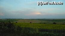 [P11] lanuri de Floarea Soarelui intre Plevna si Ruse » foto by deliutza27
 - 
<span class="allrVoted glyphicon glyphicon-heart hidden" id="av189540"></span>
<a class="m-l-10 hidden" id="sv189540" onclick="voting_Foto_DelVot(,189540,7421)" role="button">șterge vot <span class="glyphicon glyphicon-remove"></span></a>
<a id="v9189540" class=" c-red"  onclick="voting_Foto_SetVot(189540)" role="button"><span class="glyphicon glyphicon-heart-empty"></span> <b>LIKE</b> = Votează poza</a> <img class="hidden"  id="f189540W9" src="/imagini/loader.gif" border="0" /><span class="AjErrMes hidden" id="e189540ErM"></span>