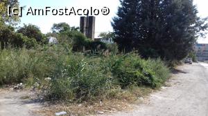 [P09] Fara cuvinte...  » foto by sorin_2018
 - 
<span class="allrVoted glyphicon glyphicon-heart hidden" id="av1007085"></span>
<a class="m-l-10 hidden" id="sv1007085" onclick="voting_Foto_DelVot(,1007085,7422)" role="button">șterge vot <span class="glyphicon glyphicon-remove"></span></a>
<a id="v91007085" class=" c-red"  onclick="voting_Foto_SetVot(1007085)" role="button"><span class="glyphicon glyphicon-heart-empty"></span> <b>LIKE</b> = Votează poza</a> <img class="hidden"  id="f1007085W9" src="/imagini/loader.gif" border="0" /><span class="AjErrMes hidden" id="e1007085ErM"></span>