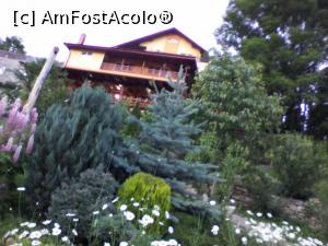 [P02]  -- <small>// FĂRĂ DESCRIERE</small> » foto by micutzu1975
 - 
<span class="allrVoted glyphicon glyphicon-heart hidden" id="av750263"></span>
<a class="m-l-10 hidden" id="sv750263" onclick="voting_Foto_DelVot(,750263,7436)" role="button">șterge vot <span class="glyphicon glyphicon-remove"></span></a>
<a id="v9750263" class=" c-red"  onclick="voting_Foto_SetVot(750263)" role="button"><span class="glyphicon glyphicon-heart-empty"></span> <b>LIKE</b> = Votează poza</a> <img class="hidden"  id="f750263W9" src="/imagini/loader.gif" border="0" /><span class="AjErrMes hidden" id="e750263ErM"></span>