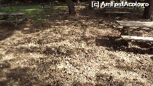 [P55] Milli Park - plaja Icmeler Koyu, urmele porcilor mistreți de peste noapte » foto by danoradea
 - 
<span class="allrVoted glyphicon glyphicon-heart hidden" id="av630425"></span>
<a class="m-l-10 hidden" id="sv630425" onclick="voting_Foto_DelVot(,630425,7464)" role="button">șterge vot <span class="glyphicon glyphicon-remove"></span></a>
<a id="v9630425" class=" c-red"  onclick="voting_Foto_SetVot(630425)" role="button"><span class="glyphicon glyphicon-heart-empty"></span> <b>LIKE</b> = Votează poza</a> <img class="hidden"  id="f630425W9" src="/imagini/loader.gif" border="0" /><span class="AjErrMes hidden" id="e630425ErM"></span>