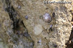 [P71] Milli Park - plaja Icmeler Koyu » foto by danoradea
 - 
<span class="allrVoted glyphicon glyphicon-heart hidden" id="av630441"></span>
<a class="m-l-10 hidden" id="sv630441" onclick="voting_Foto_DelVot(,630441,7464)" role="button">șterge vot <span class="glyphicon glyphicon-remove"></span></a>
<a id="v9630441" class=" c-red"  onclick="voting_Foto_SetVot(630441)" role="button"><span class="glyphicon glyphicon-heart-empty"></span> <b>LIKE</b> = Votează poza</a> <img class="hidden"  id="f630441W9" src="/imagini/loader.gif" border="0" /><span class="AjErrMes hidden" id="e630441ErM"></span>