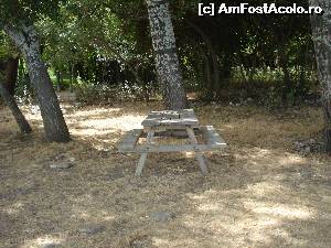 [P14] loc de picnic langa plaja Aydinlik.  » foto by adryana
 - 
<span class="allrVoted glyphicon glyphicon-heart hidden" id="av543448"></span>
<a class="m-l-10 hidden" id="sv543448" onclick="voting_Foto_DelVot(,543448,7464)" role="button">șterge vot <span class="glyphicon glyphicon-remove"></span></a>
<a id="v9543448" class=" c-red"  onclick="voting_Foto_SetVot(543448)" role="button"><span class="glyphicon glyphicon-heart-empty"></span> <b>LIKE</b> = Votează poza</a> <img class="hidden"  id="f543448W9" src="/imagini/loader.gif" border="0" /><span class="AjErrMes hidden" id="e543448ErM"></span>