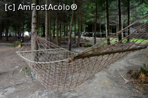 [P02] Manastirea Humorului - Casa Bunicilor - hamacul ne asteapta » foto by alina1104
 - 
<span class="allrVoted glyphicon glyphicon-heart hidden" id="av718293"></span>
<a class="m-l-10 hidden" id="sv718293" onclick="voting_Foto_DelVot(,718293,7483)" role="button">șterge vot <span class="glyphicon glyphicon-remove"></span></a>
<a id="v9718293" class=" c-red"  onclick="voting_Foto_SetVot(718293)" role="button"><span class="glyphicon glyphicon-heart-empty"></span> <b>LIKE</b> = Votează poza</a> <img class="hidden"  id="f718293W9" src="/imagini/loader.gif" border="0" /><span class="AjErrMes hidden" id="e718293ErM"></span>