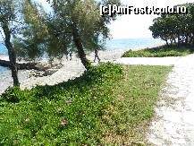 [P25] Kassandra Palace hotel - Halkidiki mai2013 » foto by ionescunic
 - 
<span class="allrVoted glyphicon glyphicon-heart hidden" id="av489884"></span>
<a class="m-l-10 hidden" id="sv489884" onclick="voting_Foto_DelVot(,489884,7487)" role="button">șterge vot <span class="glyphicon glyphicon-remove"></span></a>
<a id="v9489884" class=" c-red"  onclick="voting_Foto_SetVot(489884)" role="button"><span class="glyphicon glyphicon-heart-empty"></span> <b>LIKE</b> = Votează poza</a> <img class="hidden"  id="f489884W9" src="/imagini/loader.gif" border="0" /><span class="AjErrMes hidden" id="e489884ErM"></span>