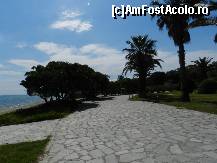 [P26] Kassandra Palace hotel - Halkidiki mai2013 » foto by ionescunic
 - 
<span class="allrVoted glyphicon glyphicon-heart hidden" id="av489885"></span>
<a class="m-l-10 hidden" id="sv489885" onclick="voting_Foto_DelVot(,489885,7487)" role="button">șterge vot <span class="glyphicon glyphicon-remove"></span></a>
<a id="v9489885" class=" c-red"  onclick="voting_Foto_SetVot(489885)" role="button"><span class="glyphicon glyphicon-heart-empty"></span> <b>LIKE</b> = Votează poza</a> <img class="hidden"  id="f489885W9" src="/imagini/loader.gif" border="0" /><span class="AjErrMes hidden" id="e489885ErM"></span>