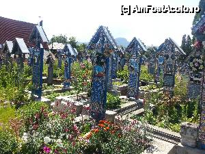 [P04] vedere de ansamblu cu mai multe cruci din cimitirul vesel » foto by Dan&Ema
 - 
<span class="allrVoted glyphicon glyphicon-heart hidden" id="av446293"></span>
<a class="m-l-10 hidden" id="sv446293" onclick="voting_Foto_DelVot(,446293,7494)" role="button">șterge vot <span class="glyphicon glyphicon-remove"></span></a>
<a id="v9446293" class=" c-red"  onclick="voting_Foto_SetVot(446293)" role="button"><span class="glyphicon glyphicon-heart-empty"></span> <b>LIKE</b> = Votează poza</a> <img class="hidden"  id="f446293W9" src="/imagini/loader.gif" border="0" /><span class="AjErrMes hidden" id="e446293ErM"></span>