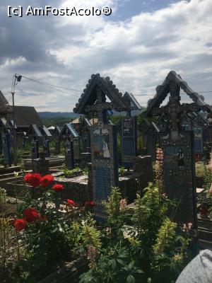 [P10] Cruci în cimitirul vesel » foto by AZE
 - 
<span class="allrVoted glyphicon glyphicon-heart hidden" id="av1280395"></span>
<a class="m-l-10 hidden" id="sv1280395" onclick="voting_Foto_DelVot(,1280395,7494)" role="button">șterge vot <span class="glyphicon glyphicon-remove"></span></a>
<a id="v91280395" class=" c-red"  onclick="voting_Foto_SetVot(1280395)" role="button"><span class="glyphicon glyphicon-heart-empty"></span> <b>LIKE</b> = Votează poza</a> <img class="hidden"  id="f1280395W9" src="/imagini/loader.gif" border="0" /><span class="AjErrMes hidden" id="e1280395ErM"></span>
