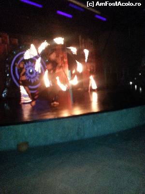 [P12] Fire show » foto by Andryea
 - 
<span class="allrVoted glyphicon glyphicon-heart hidden" id="av647906"></span>
<a class="m-l-10 hidden" id="sv647906" onclick="voting_Foto_DelVot(,647906,7501)" role="button">șterge vot <span class="glyphicon glyphicon-remove"></span></a>
<a id="v9647906" class=" c-red"  onclick="voting_Foto_SetVot(647906)" role="button"><span class="glyphicon glyphicon-heart-empty"></span> <b>LIKE</b> = Votează poza</a> <img class="hidden"  id="f647906W9" src="/imagini/loader.gif" border="0" /><span class="AjErrMes hidden" id="e647906ErM"></span>