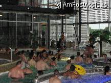[P11] Animatorii de la piscina » foto by dananecula*
 - 
<span class="allrVoted glyphicon glyphicon-heart hidden" id="av241721"></span>
<a class="m-l-10 hidden" id="sv241721" onclick="voting_Foto_DelVot(,241721,7507)" role="button">șterge vot <span class="glyphicon glyphicon-remove"></span></a>
<a id="v9241721" class=" c-red"  onclick="voting_Foto_SetVot(241721)" role="button"><span class="glyphicon glyphicon-heart-empty"></span> <b>LIKE</b> = Votează poza</a> <img class="hidden"  id="f241721W9" src="/imagini/loader.gif" border="0" /><span class="AjErrMes hidden" id="e241721ErM"></span>