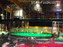 [P16] Jocul de lumini de la piscine era ametitor » foto by dananecula*
 - 
<span class="allrVoted glyphicon glyphicon-heart hidden" id="av241726"></span>
<a class="m-l-10 hidden" id="sv241726" onclick="voting_Foto_DelVot(,241726,7507)" role="button">șterge vot <span class="glyphicon glyphicon-remove"></span></a>
<a id="v9241726" class=" c-red"  onclick="voting_Foto_SetVot(241726)" role="button"><span class="glyphicon glyphicon-heart-empty"></span> <b>LIKE</b> = Votează poza</a> <img class="hidden"  id="f241726W9" src="/imagini/loader.gif" border="0" /><span class="AjErrMes hidden" id="e241726ErM"></span>