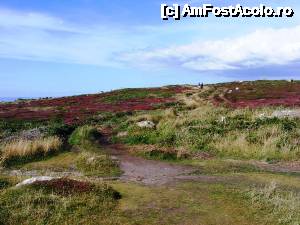 [P35] Land's End - poteca ușoară... Chestia mov nu e lavandă?  » foto by makuy*
 - 
<span class="allrVoted glyphicon glyphicon-heart hidden" id="av486197"></span>
<a class="m-l-10 hidden" id="sv486197" onclick="voting_Foto_DelVot(,486197,7515)" role="button">șterge vot <span class="glyphicon glyphicon-remove"></span></a>
<a id="v9486197" class=" c-red"  onclick="voting_Foto_SetVot(486197)" role="button"><span class="glyphicon glyphicon-heart-empty"></span> <b>LIKE</b> = Votează poza</a> <img class="hidden"  id="f486197W9" src="/imagini/loader.gif" border="0" /><span class="AjErrMes hidden" id="e486197ErM"></span>