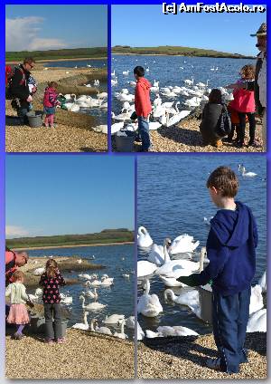 [P15] De la mic la mare: un prilej de incantare pentru copii si pentru intreaga familie.  » foto by Cucu Bau
 - 
<span class="allrVoted glyphicon glyphicon-heart hidden" id="av601699"></span>
<a class="m-l-10 hidden" id="sv601699" onclick="voting_Foto_DelVot(,601699,7515)" role="button">șterge vot <span class="glyphicon glyphicon-remove"></span></a>
<a id="v9601699" class=" c-red"  onclick="voting_Foto_SetVot(601699)" role="button"><span class="glyphicon glyphicon-heart-empty"></span> <b>LIKE</b> = Votează poza</a> <img class="hidden"  id="f601699W9" src="/imagini/loader.gif" border="0" /><span class="AjErrMes hidden" id="e601699ErM"></span>