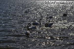 [P22] O ultima poza, de ramas bun, care sper sa va convinga sa vizitati acest loc absolut magnific!  » foto by Cucu Bau
 - 
<span class="allrVoted glyphicon glyphicon-heart hidden" id="av601706"></span>
<a class="m-l-10 hidden" id="sv601706" onclick="voting_Foto_DelVot(,601706,7515)" role="button">șterge vot <span class="glyphicon glyphicon-remove"></span></a>
<a id="v9601706" class=" c-red"  onclick="voting_Foto_SetVot(601706)" role="button"><span class="glyphicon glyphicon-heart-empty"></span> <b>LIKE</b> = Votează poza</a> <img class="hidden"  id="f601706W9" src="/imagini/loader.gif" border="0" /><span class="AjErrMes hidden" id="e601706ErM"></span>