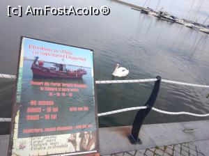 [P24] Ambarcațiuni în portul Mangalia » foto by Mioritik
 - 
<span class="allrVoted glyphicon glyphicon-heart hidden" id="av1231451"></span>
<a class="m-l-10 hidden" id="sv1231451" onclick="voting_Foto_DelVot(,1231451,7516)" role="button">șterge vot <span class="glyphicon glyphicon-remove"></span></a>
<a id="v91231451" class=" c-red"  onclick="voting_Foto_SetVot(1231451)" role="button"><span class="glyphicon glyphicon-heart-empty"></span> <b>LIKE</b> = Votează poza</a> <img class="hidden"  id="f1231451W9" src="/imagini/loader.gif" border="0" /><span class="AjErrMes hidden" id="e1231451ErM"></span>