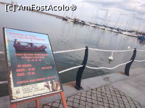 [P03] Altă reclamă, portul turistic Mangalia » foto by Mioritik
 - 
<span class="allrVoted glyphicon glyphicon-heart hidden" id="av1231900"></span>
<a class="m-l-10 hidden" id="sv1231900" onclick="voting_Foto_DelVot(,1231900,7516)" role="button">șterge vot <span class="glyphicon glyphicon-remove"></span></a>
<a id="v91231900" class=" c-red"  onclick="voting_Foto_SetVot(1231900)" role="button"><span class="glyphicon glyphicon-heart-empty"></span> <b>LIKE</b> = Votează poza</a> <img class="hidden"  id="f1231900W9" src="/imagini/loader.gif" border="0" /><span class="AjErrMes hidden" id="e1231900ErM"></span>