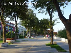 [P18] Strada Teilor - Faleza Mangaliei.  » foto by tata123 🔱
 - 
<span class="allrVoted glyphicon glyphicon-heart hidden" id="av1009026"></span>
<a class="m-l-10 hidden" id="sv1009026" onclick="voting_Foto_DelVot(,1009026,7516)" role="button">șterge vot <span class="glyphicon glyphicon-remove"></span></a>
<a id="v91009026" class=" c-red"  onclick="voting_Foto_SetVot(1009026)" role="button"><span class="glyphicon glyphicon-heart-empty"></span> <b>LIKE</b> = Votează poza</a> <img class="hidden"  id="f1009026W9" src="/imagini/loader.gif" border="0" /><span class="AjErrMes hidden" id="e1009026ErM"></span>