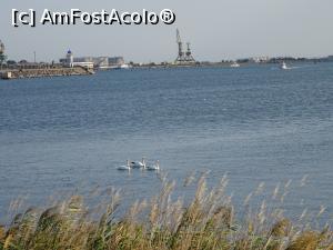 [P07] Peisaj în rada portului turistic din Mangalia.  » foto by tata123 🔱
 - 
<span class="allrVoted glyphicon glyphicon-heart hidden" id="av1009015"></span>
<a class="m-l-10 hidden" id="sv1009015" onclick="voting_Foto_DelVot(,1009015,7516)" role="button">șterge vot <span class="glyphicon glyphicon-remove"></span></a>
<a id="v91009015" class=" c-red"  onclick="voting_Foto_SetVot(1009015)" role="button"><span class="glyphicon glyphicon-heart-empty"></span> <b>LIKE</b> = Votează poza</a> <img class="hidden"  id="f1009015W9" src="/imagini/loader.gif" border="0" /><span class="AjErrMes hidden" id="e1009015ErM"></span>