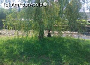 [P21] Săsar, Baia Mare, 2022 » foto by Mioritik
 - 
<span class="allrVoted glyphicon glyphicon-heart hidden" id="av1347029"></span>
<a class="m-l-10 hidden" id="sv1347029" onclick="voting_Foto_DelVot(,1347029,7527)" role="button">șterge vot <span class="glyphicon glyphicon-remove"></span></a>
<a id="v91347029" class=" c-red"  onclick="voting_Foto_SetVot(1347029)" role="button"><span class="glyphicon glyphicon-heart-empty"></span> <b>LIKE</b> = Votează poza</a> <img class="hidden"  id="f1347029W9" src="/imagini/loader.gif" border="0" /><span class="AjErrMes hidden" id="e1347029ErM"></span>